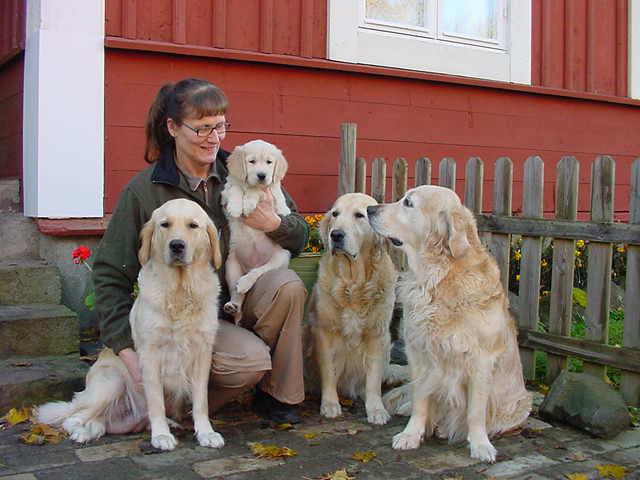 Välkommen